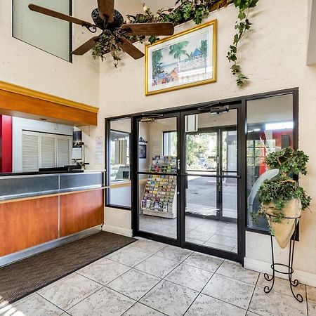 Econo Lodge Palm Harbor - Clearwater Bagian luar foto
