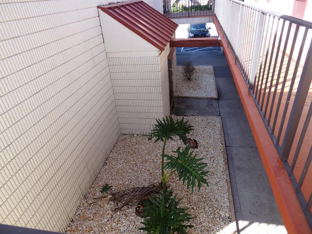 Econo Lodge Palm Harbor - Clearwater Bagian luar foto