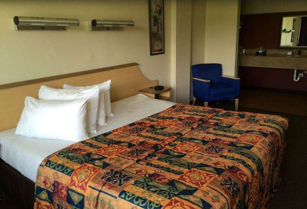 Econo Lodge Palm Harbor - Clearwater Ruang foto